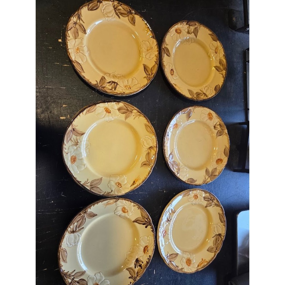 Franciscan CAFE ROYAL Salad Plates 8" EUC VTG Brown Floral Motif Retro Set of 6